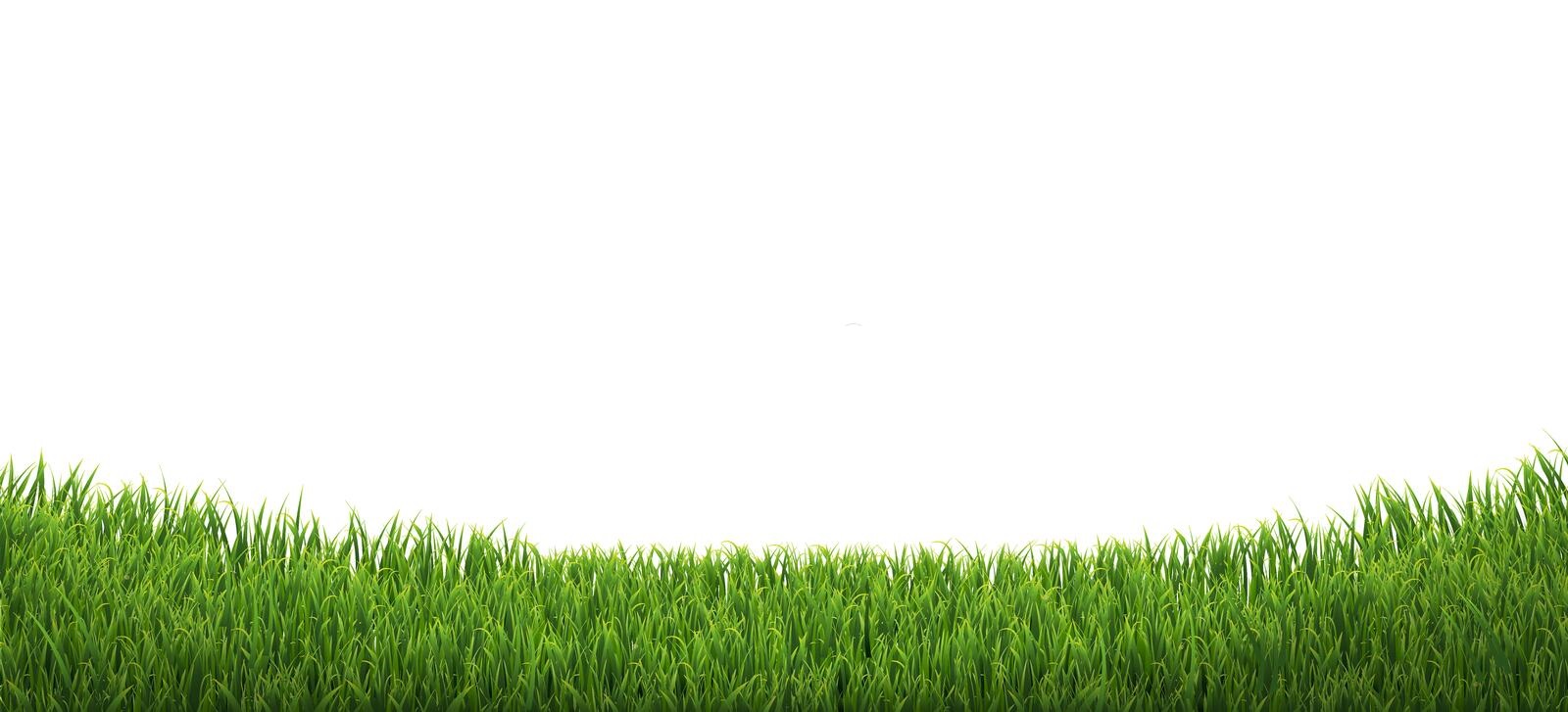 borde-verde-de-césped-aislado-fondo-blanco-pasto-con-imagen-vectorial-malla-degradada-212979612 borde-verde-de-césped-aislado-fondo-blanco-pasto-con-imagen-vectorial-malla-degradada-212979612